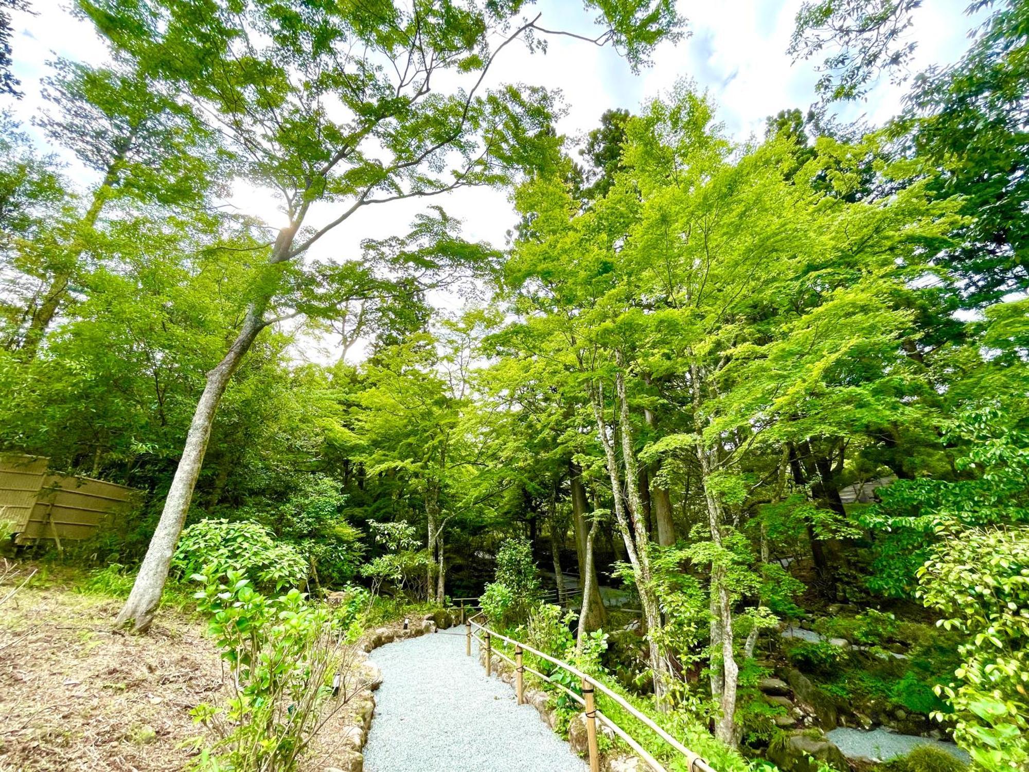 Hakone Kowakien Hotel Exteriér fotografie