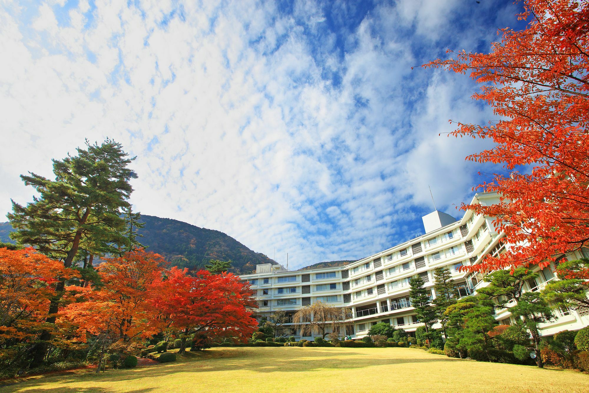 Hakone Kowakien Hotel Exteriér fotografie